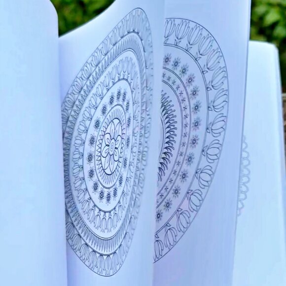 The Big Book of Mandalas Coloring Book - Picture 7 of 7